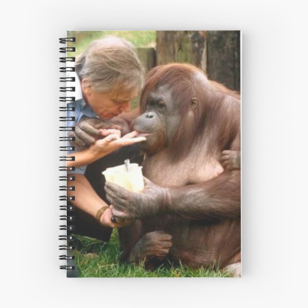 Item preview, David Attenborough Orangutan  designed and sold by FreeOrca.