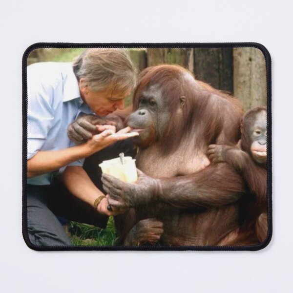 Item preview, David Attenborough Orangutan designed and sold by FreeOrca.