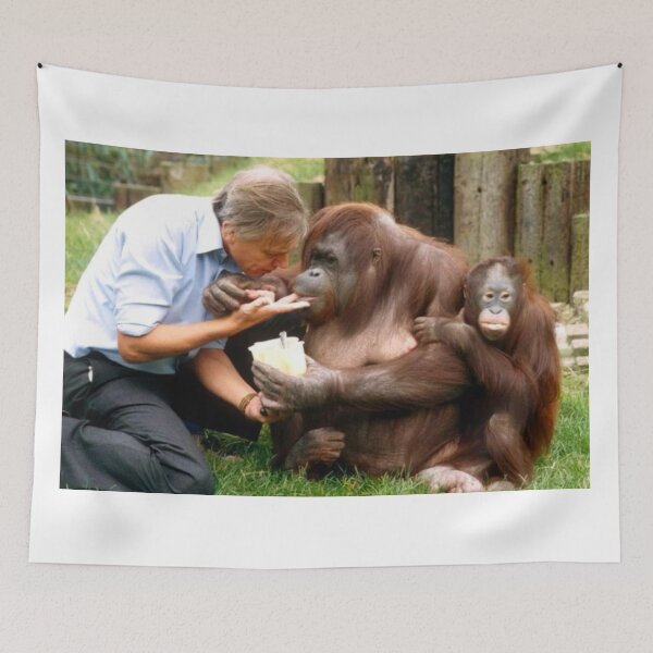 Item preview, David Attenborough Orangutan  designed and sold by FreeOrca.