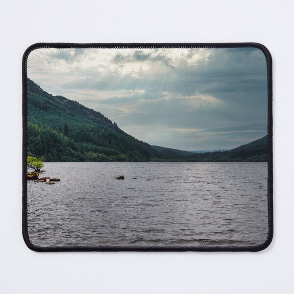 Item preview, Rooted Solitude on Loch Eck designed and sold by RJW Images.