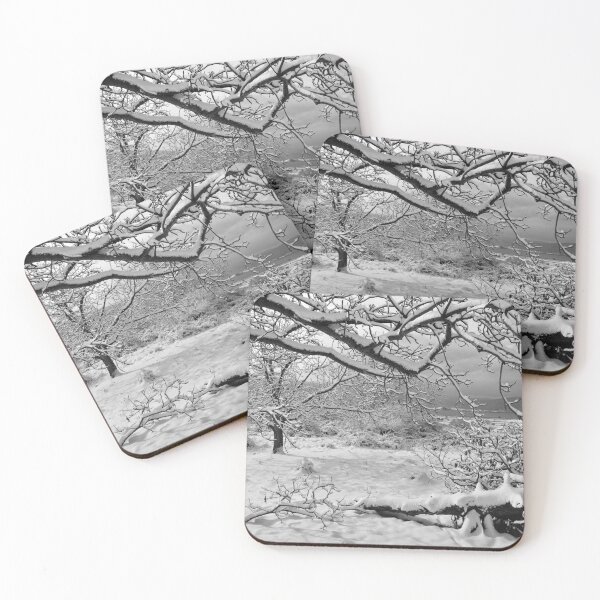 Item preview, Black and white winter trees on a snow background designed and sold by by-jwp.