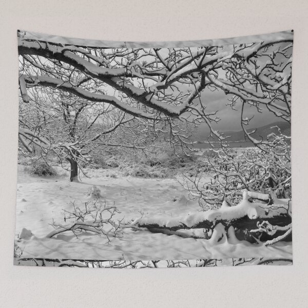 Item preview, Black and white winter trees on a snow background designed and sold by by-jwp.