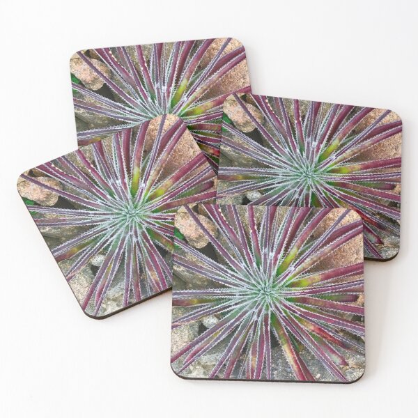 Item preview, Star Cactus designed and sold by T Santora.