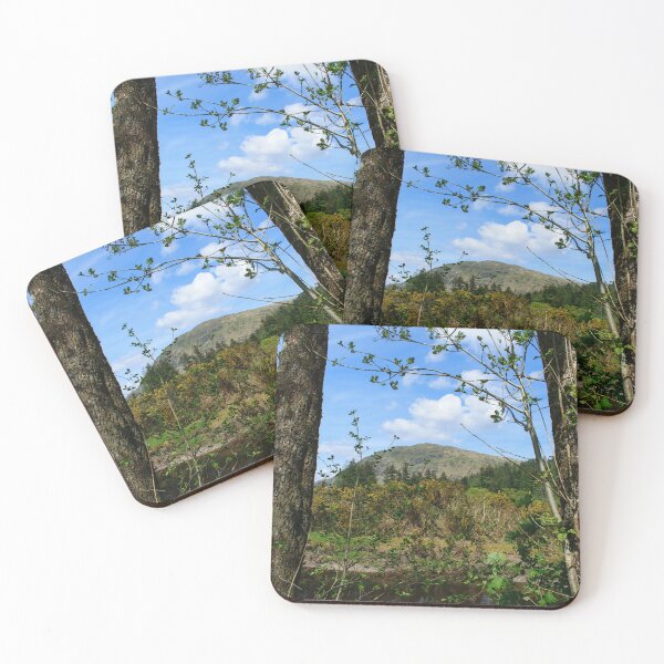 Item preview, Benmore through the trees designed and sold by RJW Images.