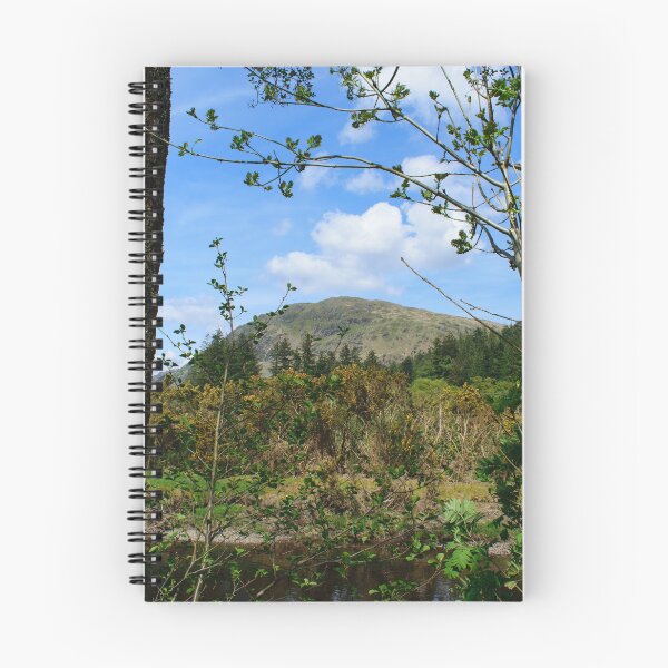 Item preview, Benmore through the trees designed and sold by RJW Images.
