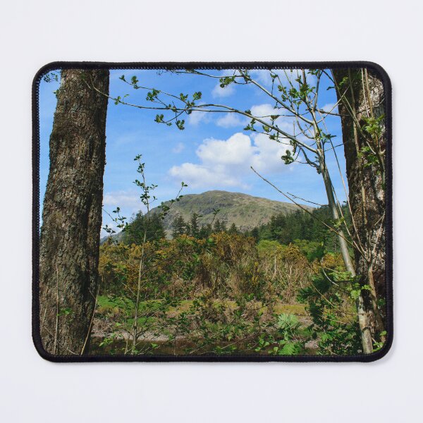 Item preview, Benmore through the trees designed and sold by RJW Images.