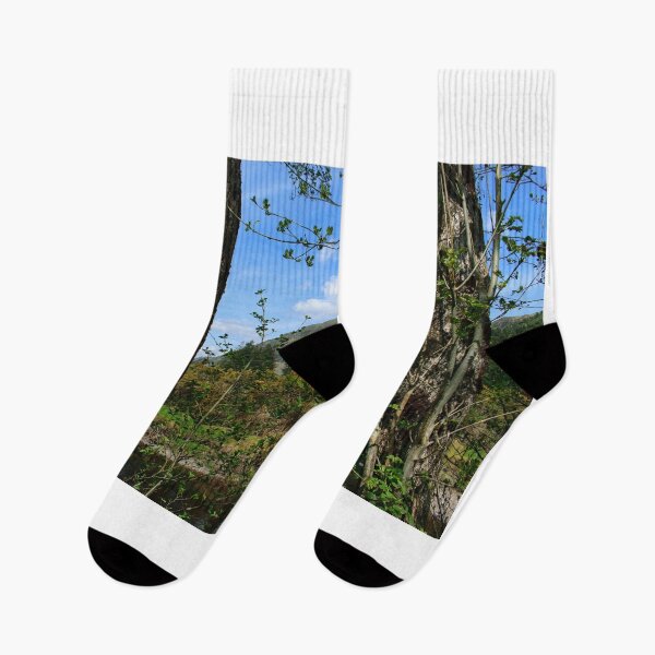 Item preview, Benmore through the trees designed and sold by RJW Images.