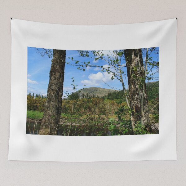 Item preview, Benmore through the trees designed and sold by RJW Images.