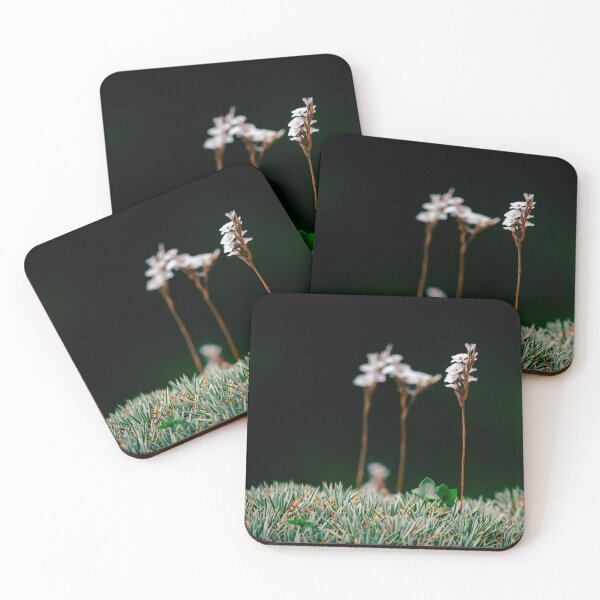 Item preview, Moss flower. designed and sold by DerLaden.Art.