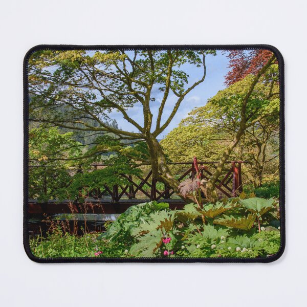 Item preview, The Pond Benmore Gardens designed and sold by RJW Images.