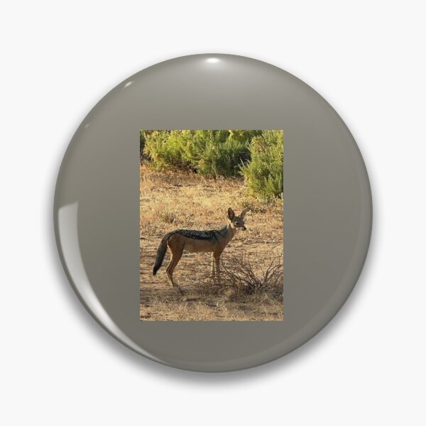 Item preview, Staring black backed Jackal designed and sold by annenambiro.