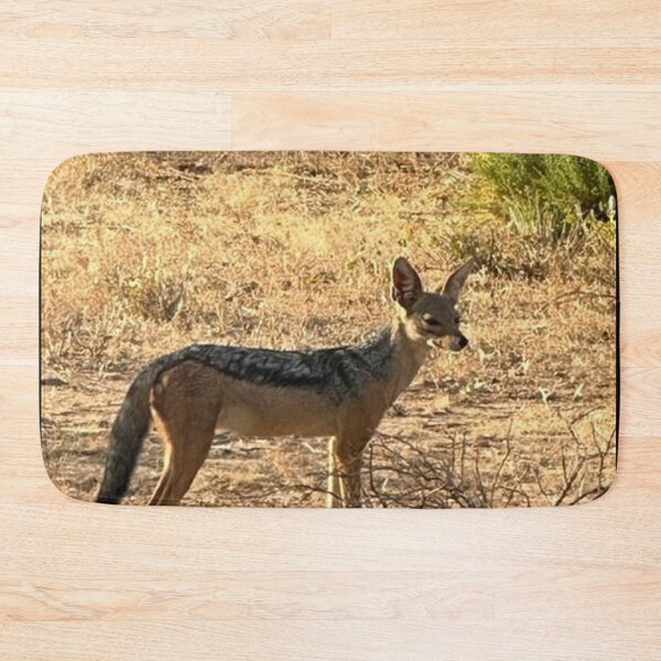 Item preview, Staring black backed Jackal designed and sold by annenambiro.