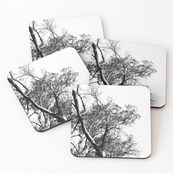 Item preview, Eucalyptus Silhouette, Australia designed and sold by Douglas E. Welch Design and Photography.