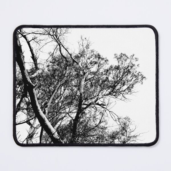Item preview, Eucalyptus Silhouette, Australia designed and sold by Douglas E. Welch Design and Photography.