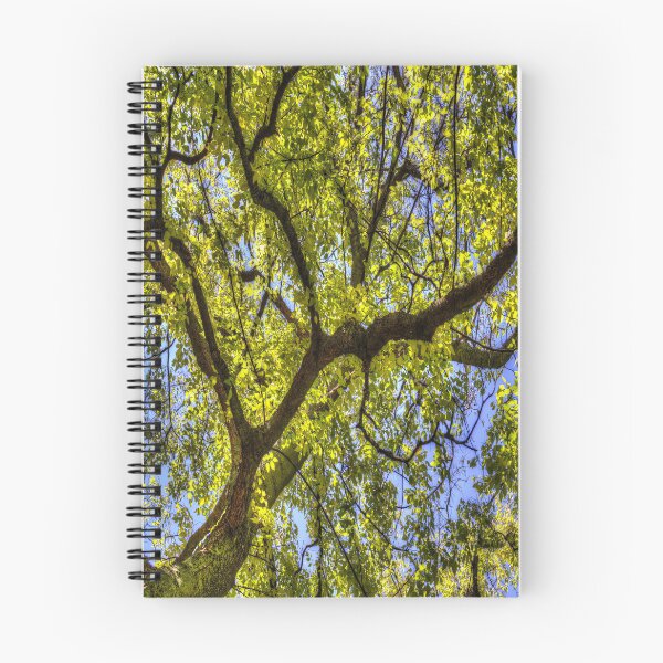 Item preview, Sunlit Tree Canopy In Spring designed and sold by Londonimages.