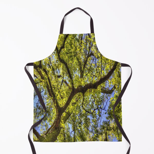 Item preview, Sunlit Tree Canopy In Spring designed and sold by Londonimages.
