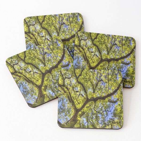 Item preview, Sunlit Tree Canopy In Spring designed and sold by Londonimages.