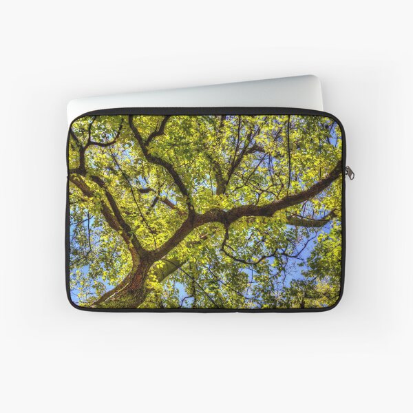 Item preview, Sunlit Tree Canopy In Spring designed and sold by Londonimages.
