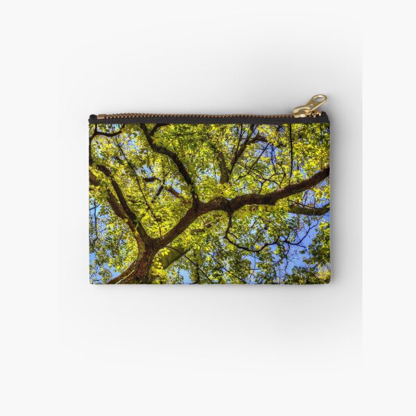 Item preview, Sunlit Tree Canopy In Spring designed and sold by Londonimages.