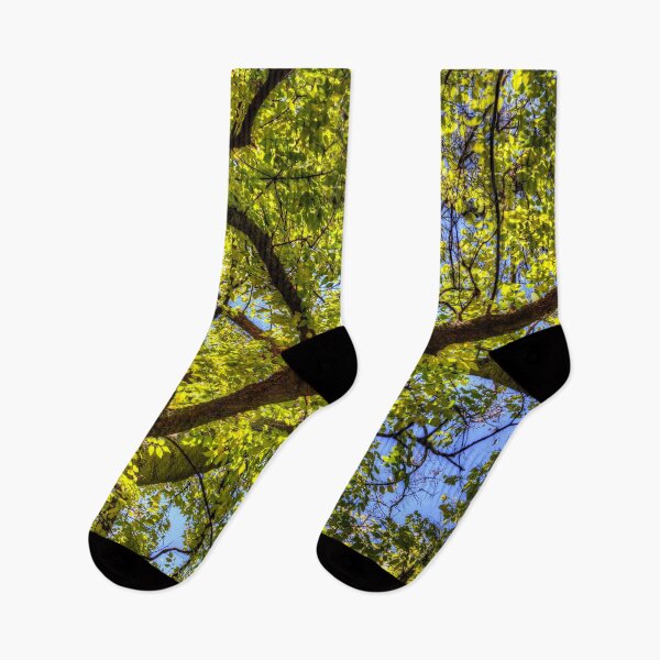 Item preview, Sunlit Tree Canopy In Spring designed and sold by Londonimages.