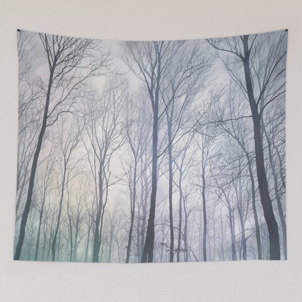 Item preview, Hazy Shade of Winter designed and sold by Steve Walser.