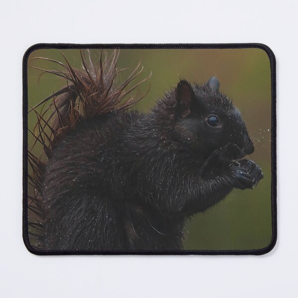 Item preview, A black squirrel eating designed and sold by Production Art Manon Meilleur.