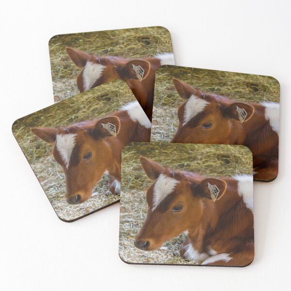 Item preview, A brown and white cow lying down designed and sold by Production Art Manon Meilleur.