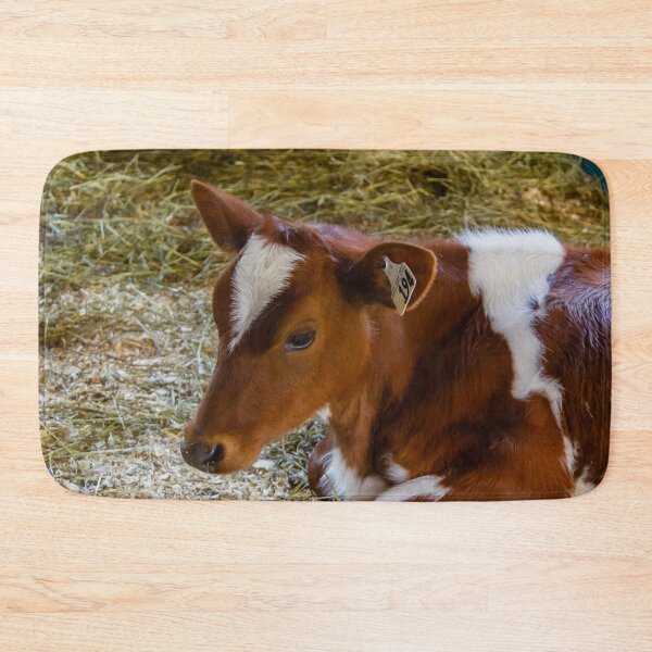Item preview, A brown and white cow lying down designed and sold by Production Art Manon Meilleur.
