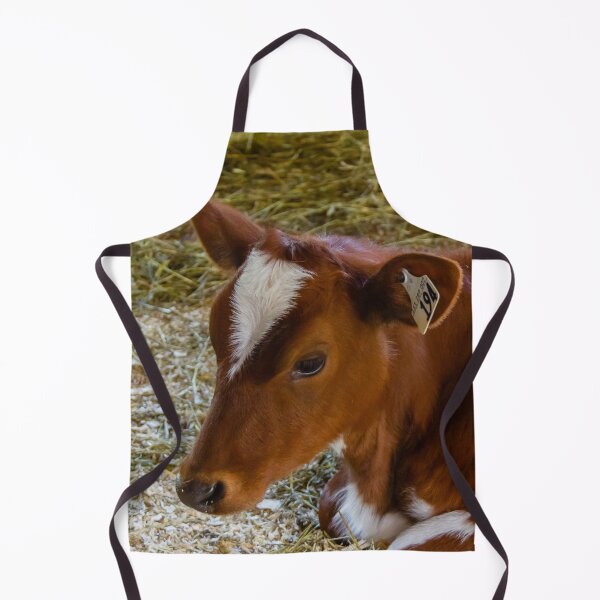 Item preview, A brown and white cow lying down designed and sold by Production Art Manon Meilleur.