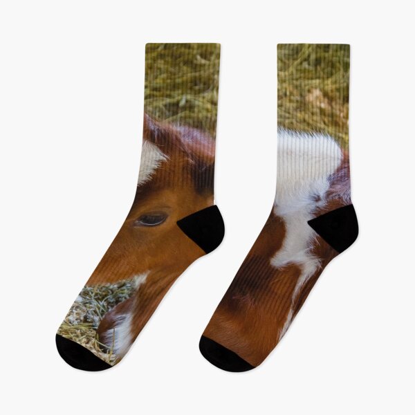 Item preview, A brown and white cow lying down designed and sold by Production Art Manon Meilleur.