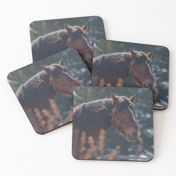 Item preview, A beautiful horse on a farm near my home designed and sold by Production Art Manon Meilleur.