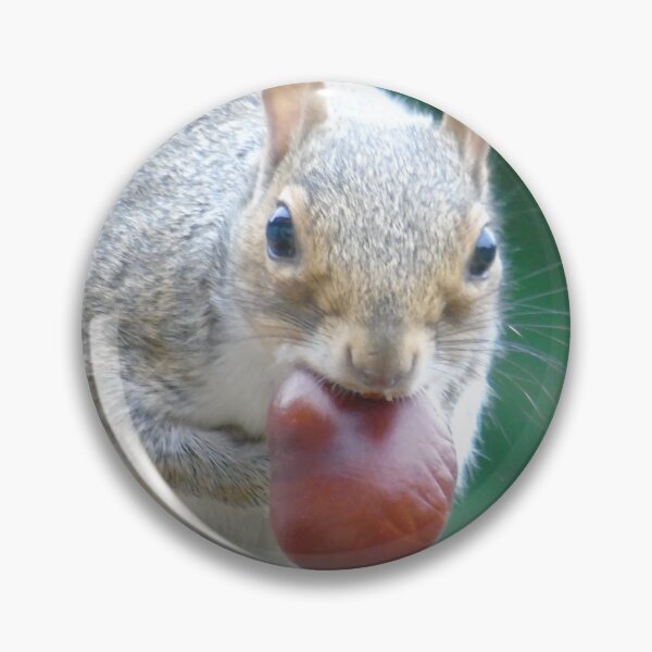 Item preview, Squirrel designed and sold by Marie Clapton.
