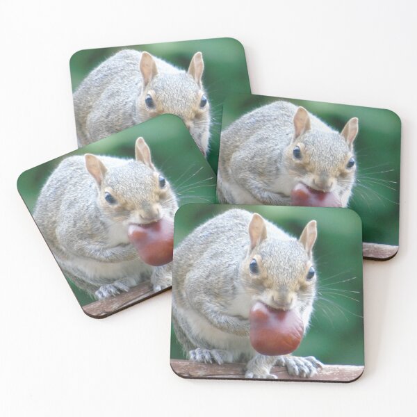 Item preview, Squirrel designed and sold by Marie Clapton.