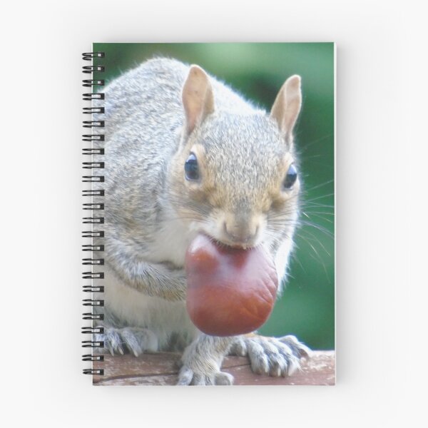 Item preview, Squirrel designed and sold by Marie Clapton.