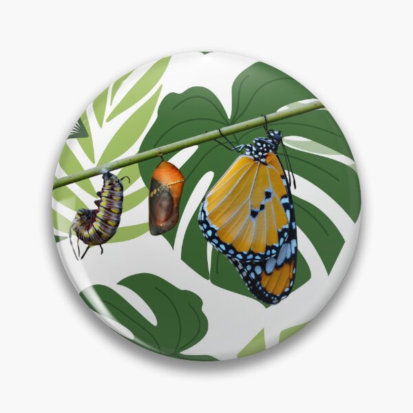 Item preview, Tropical Metamorphosis, Caterpillar to Butterfly designed and sold by Prayful.