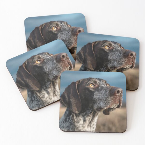 Item preview, Auvergne Pointer Portrait designed and sold by Elisabeth Lucas.