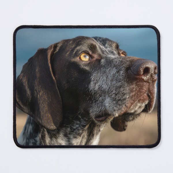 Item preview, Auvergne Pointer Portrait designed and sold by Elisabeth Lucas.