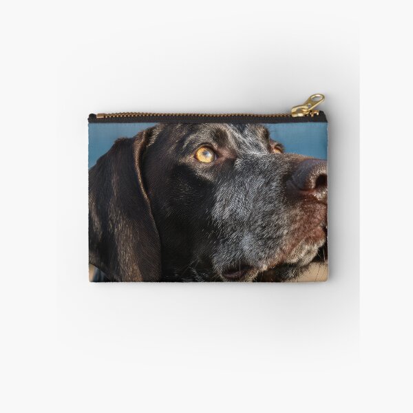 Item preview, Auvergne Pointer Portrait designed and sold by Elisabeth Lucas.