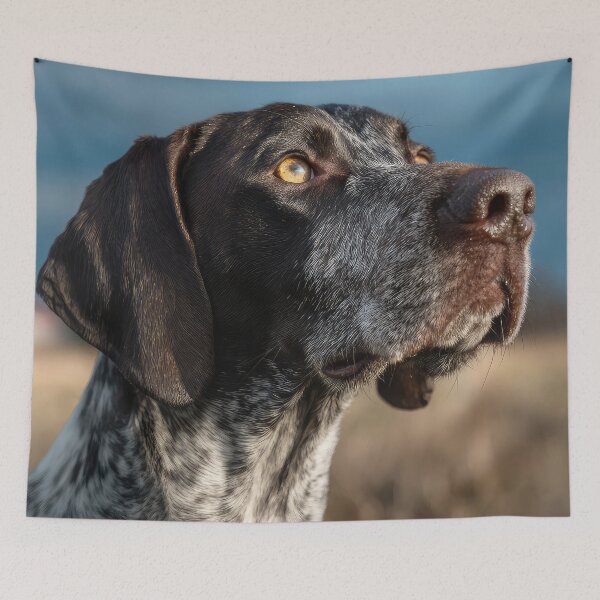 Item preview, Auvergne Pointer Portrait designed and sold by Elisabeth Lucas.