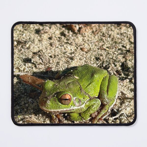 Item preview, Frog of the Warm Winter designed and sold by UmbreMoon.