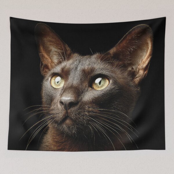 Item preview, Havana Cat Portrait on Black designed and sold by Elisabeth Lucas.