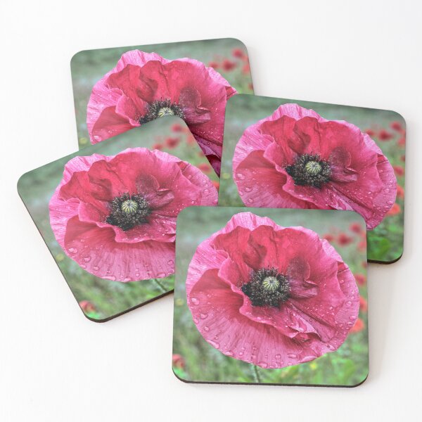 Item preview, Poppy in the Rain designed and sold by Tom McPherson Photography.