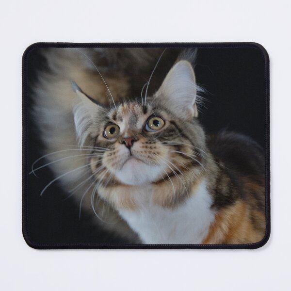 Item preview, Cat designed and sold by ART-SUNRISE.