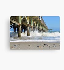 Sea Shells By The Sea Shore Canvas Print