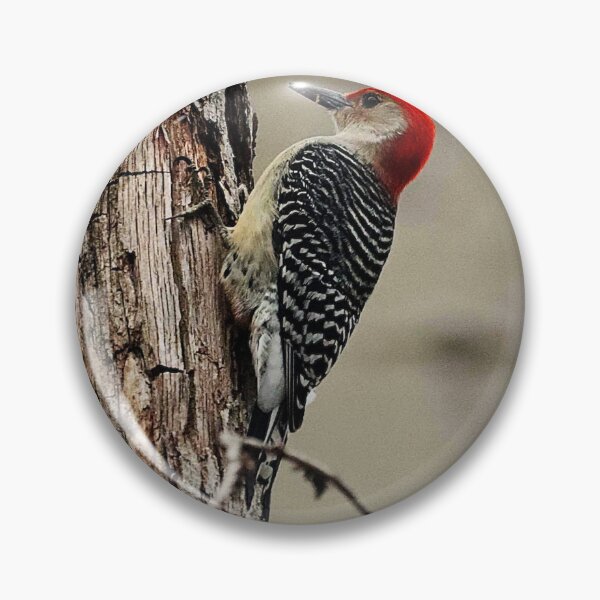 Item preview, Red-bellied Woodpecker designed and sold by MarkSmalley.