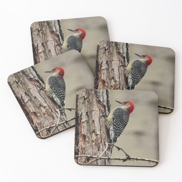 Item preview, Red-bellied Woodpecker designed and sold by MarkSmalley.