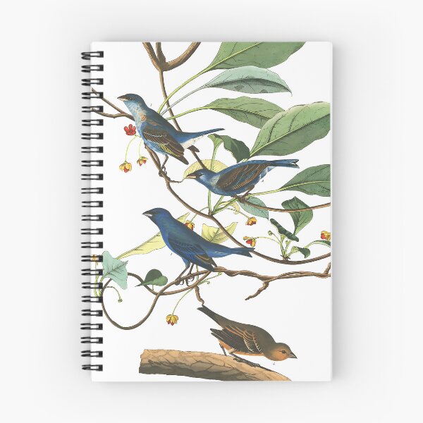 Item preview, Indigo Birds - John James Audubon designed and sold by Jon-Baran.