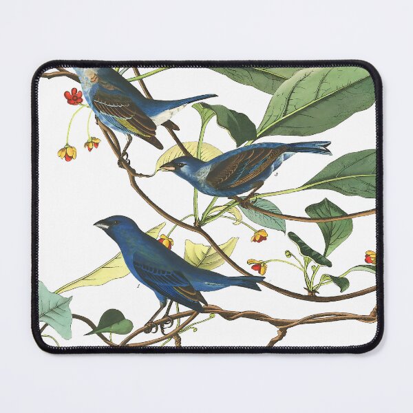 Item preview, Indigo Birds - John James Audubon designed and sold by Jon-Baran.