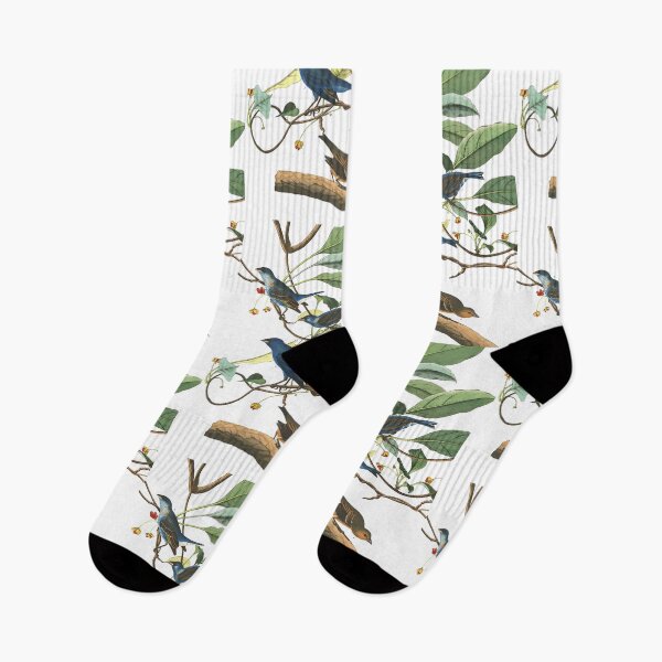 Item preview, Indigo Birds - John James Audubon designed and sold by Jon-Baran.