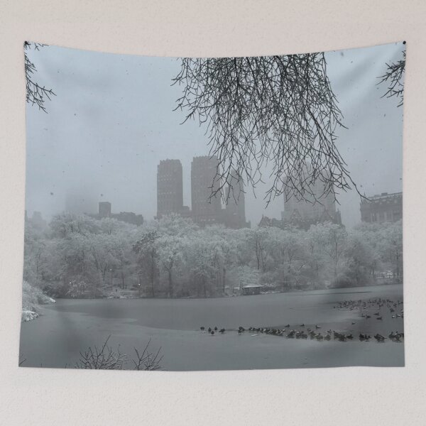 Item preview, New York City snow days (Dec 2025) Pt4 designed and sold by NYConlineStore.